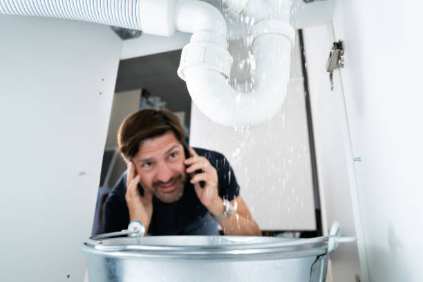 Best Local Plumber Services  in Venetian Vlage, IL